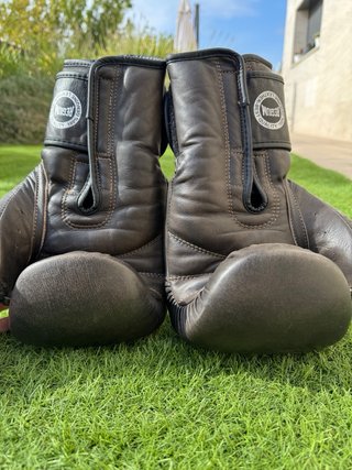 Guantes de Boxeo Regium Marrón oscuro.