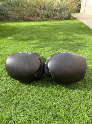 Guantes de Boxeo Regium Marrón oscuro.