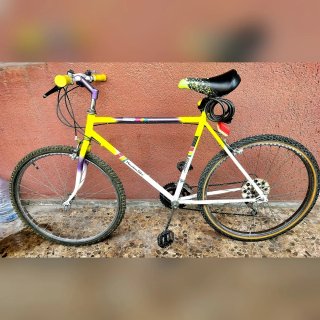 Bicicleta de Montaña Vintage Clásica