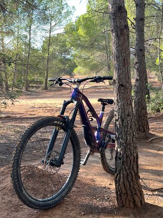 Cannondale Jekyll 2025