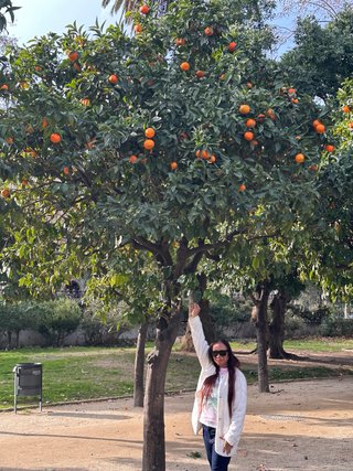 SE TRASPASA FRUTERIA