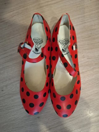 Zapatos de Flamenca Talla 37