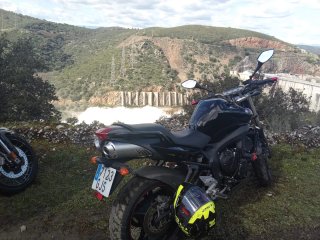 Yamaha FZ6 S2 Naked Negra
