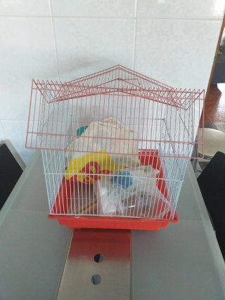 Jaula para pájaros o hámster