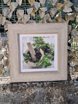 Quadro Decorativo Vintage Erbe Aromatiche