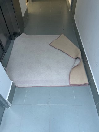 Alfombra Rosa