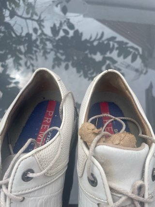 Zapatos Footjoy Premiere Packard Talla 42.5