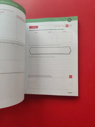 Llibre activitats. Punt Volat 4 ESO. Llengua catal