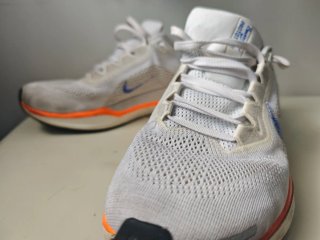 Zapatillas Nike Air Pegasus