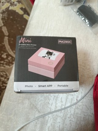 Mini Impresora Portátil PM290C