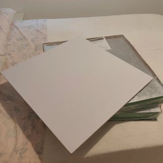 2 Paquetes de placas de yeso laminado