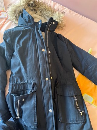 Cazadora Hollister