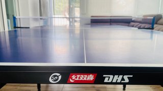 Mesa de Ping Pong Profesional DHS