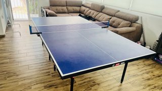 Mesa de Ping Pong Profesional DHS