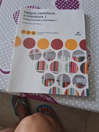 Lengua castellana y literatura 1, Comunicación ...