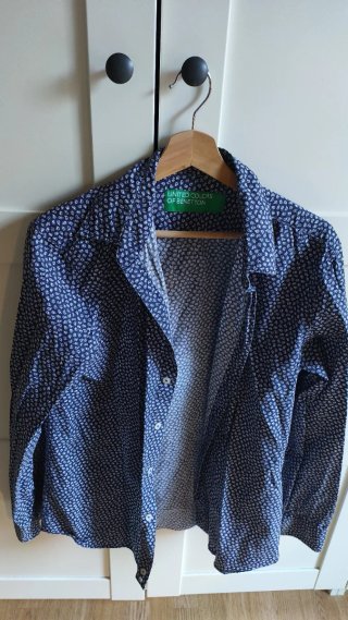 Lote de 10 Camisas Variadas