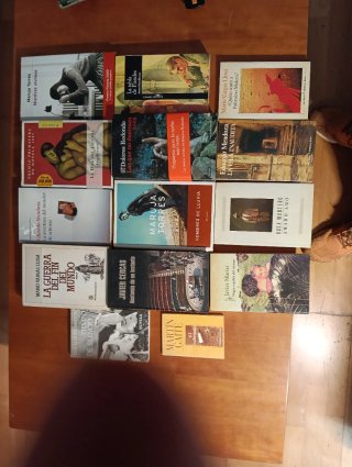 14 libros Narrativa en lengua española