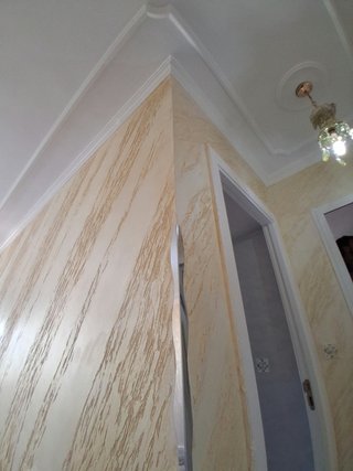 Pintor Profesional: Estuco y Yeso