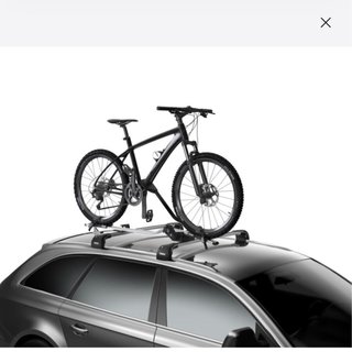 Portabicicletas THULE Proride 598 gris