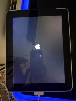 Apple iPad Mini 1ª Gen NO FUNCIONA