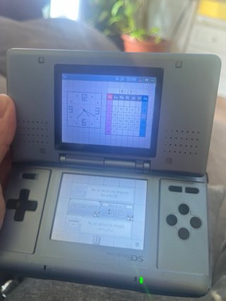 Nintendo DS Plateada