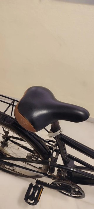Bicicleta de Paseo Negra