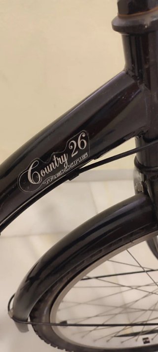 Bicicleta de Paseo Negra