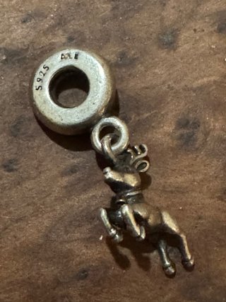 Charm Pandora Reno de Plata