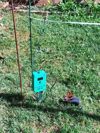 Pastor Eléctrico 12V DISPARO 10KV