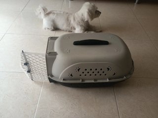 Transportín para Mascotas