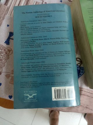 The Norton anthology of American literature