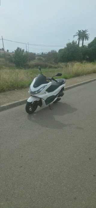 Honda PCX Blanca