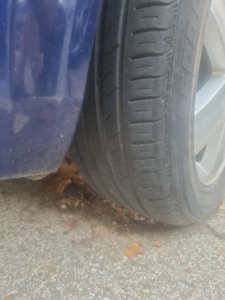 llantas + neumáticos 205/55 r16 Renault megane 2