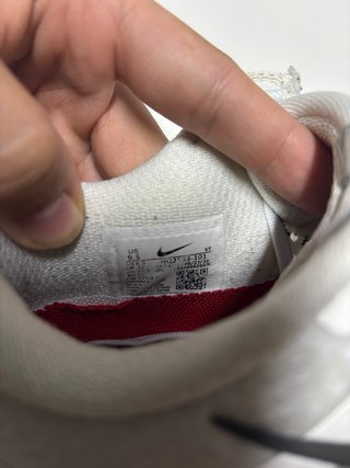 Nike Pegasus | Talla 43