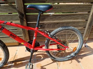 Bicicleta Infantil 20 Pulgadas