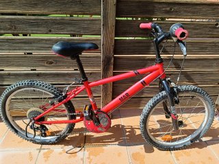 Bicicleta Infantil 20 Pulgadas