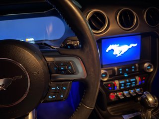 Ford Mustang 2020 V8 5.0 Aut. 450Cv