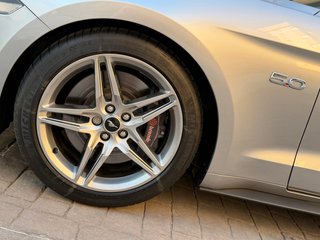Ford Mustang 2020 V8 5.0 Aut. 450Cv
