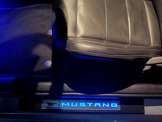 Ford Mustang 2020 V8 5.0 Aut. 450Cv