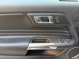 Ford Mustang 2020 V8 5.0 Aut. 450Cv