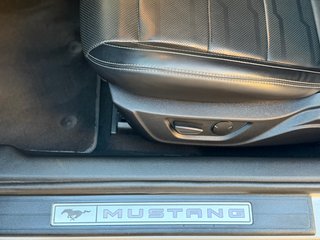 Ford Mustang 2020 V8 5.0 Aut. 450Cv