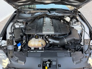 Ford Mustang 2020 V8 5.0 Aut. 450Cv