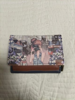 Cartera con estampado ilustrado