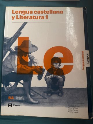 Lengua Castellana y Literatura 1, BA, lengua co...