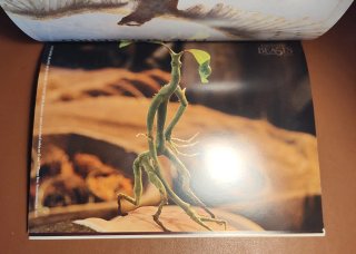 Posters de Animales Fantásticos - Harry Potter