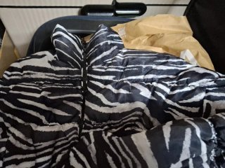 Bomber corta estampado cebra
