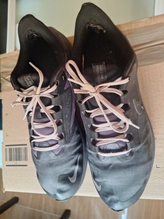 Zapatillas Nike Air Zoom Pegasus 39