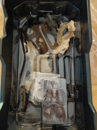 Hot Toys Predator MMS162 1/6 scale predators