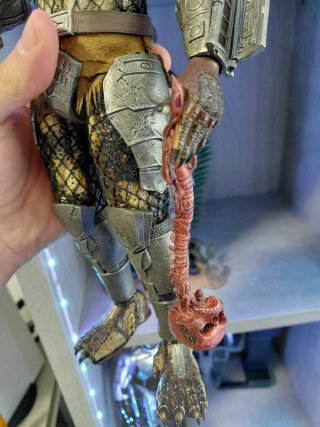 Hot Toys Predator MMS162 1/6 scale predators
