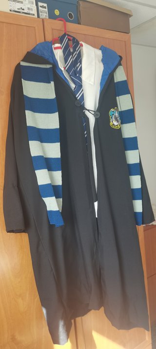 Disfraz Harry Potter Ravenclaw Talla de 44 a 50